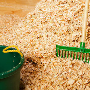 Wood Shavings